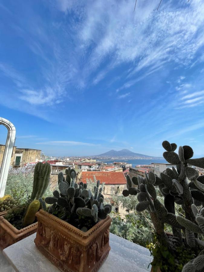 Alma De Templarsf - Stunning Design Home With Sea View And Terrace نابولي المظهر الخارجي الصورة